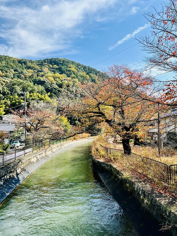 【亞洲，日本】京都紅葉名所～毘沙門堂 門跡 紅葉階梯。（京都賞楓/京都景點）