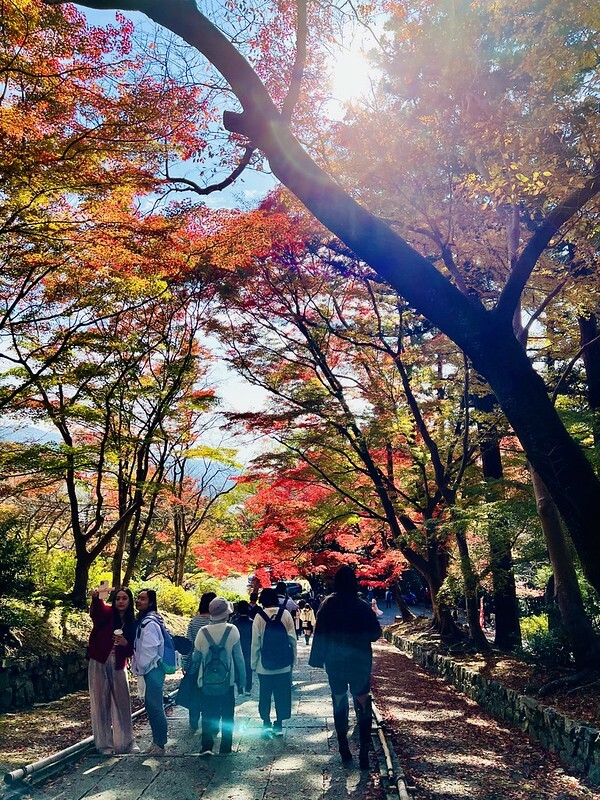 【亞洲，日本】京都紅葉名所～毘沙門堂 門跡 紅葉階梯。（京都賞楓/京都景點）