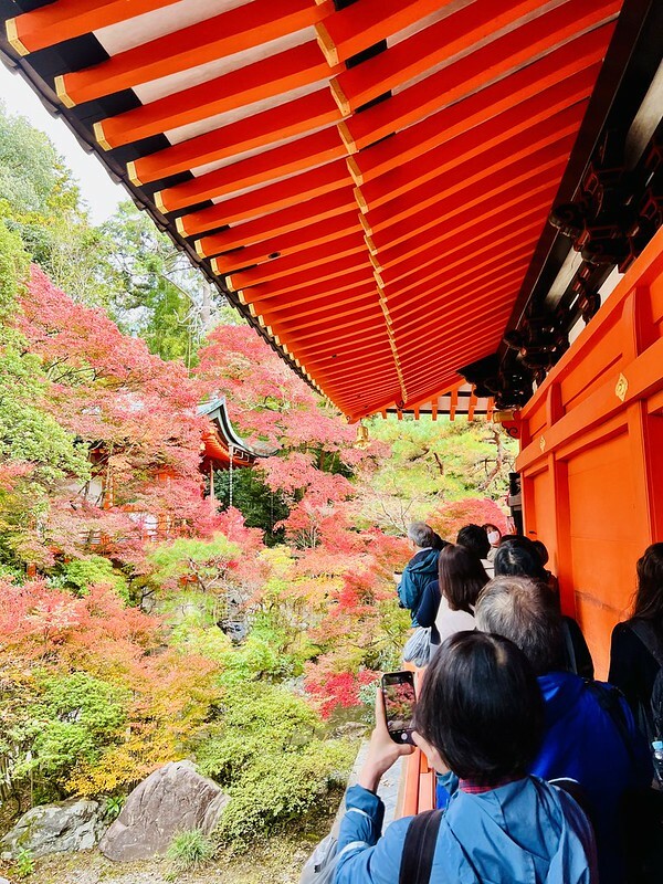【亞洲，日本】京都紅葉名所～毘沙門堂 門跡 紅葉階梯。（京都賞楓/京都景點）