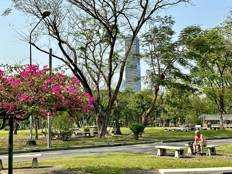 【泰國，曼谷】漫步城市中的綠地「曼谷百年歷史倫披尼公園」（ Lumpini Park  สวนลุมพินี），還有免費的天