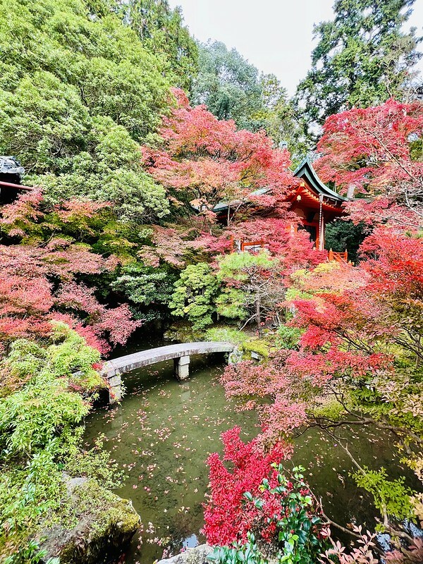 【亞洲，日本】京都紅葉名所～毘沙門堂 門跡 紅葉階梯。（京都賞楓/京都景點）