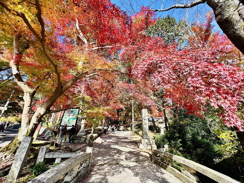 【亞洲，日本】京都紅葉名所～毘沙門堂 門跡 紅葉階梯。（京都賞楓/京都景點）
