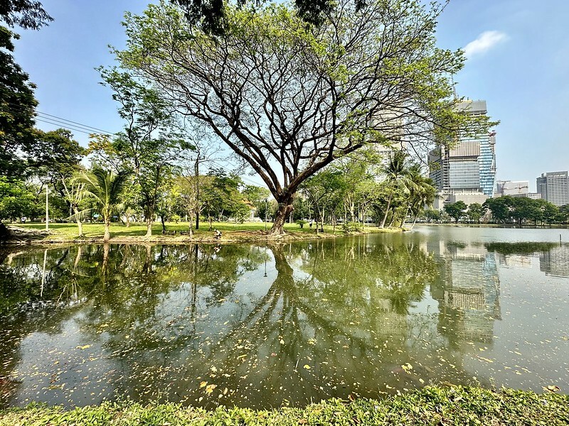 【泰國，曼谷】漫步城市中的綠地「曼谷百年歷史倫披尼公園」（ Lumpini Park  สวนลุมพินี），還有免費的天