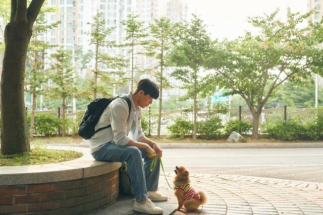 The Movie posters and stills of Korean Movie