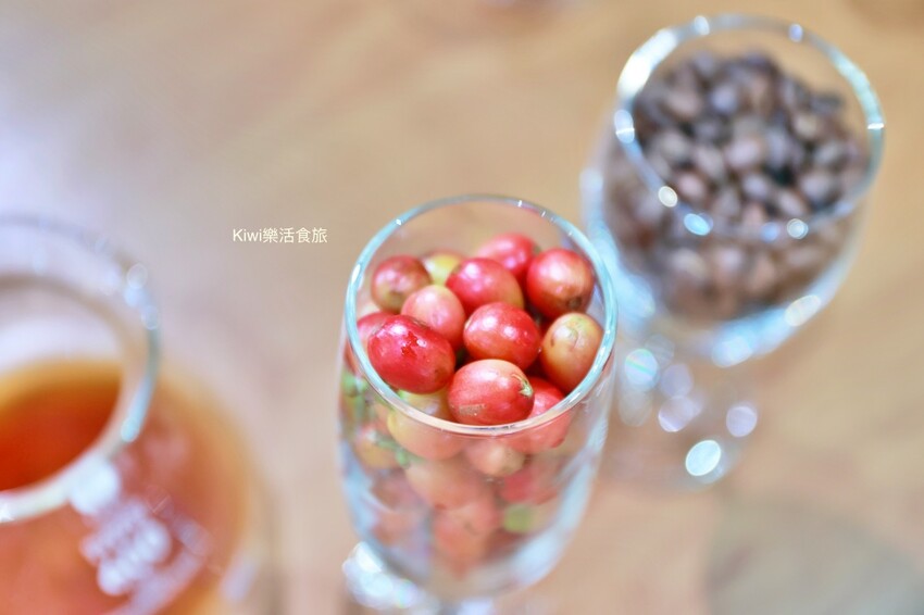 雲林古坑︱2023咖啡嘉年華帶你從雲林古坑玩到雲林斗六,喝玩樂在雲林一日遊推薦