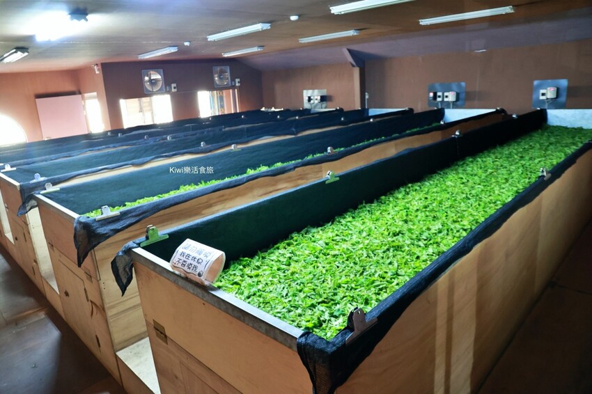 南投廖鄉長紅茶故事館日月潭紅茶館︱魚池景點免門票入內參觀.免費喝紅茶，日月潭旅遊景點推薦