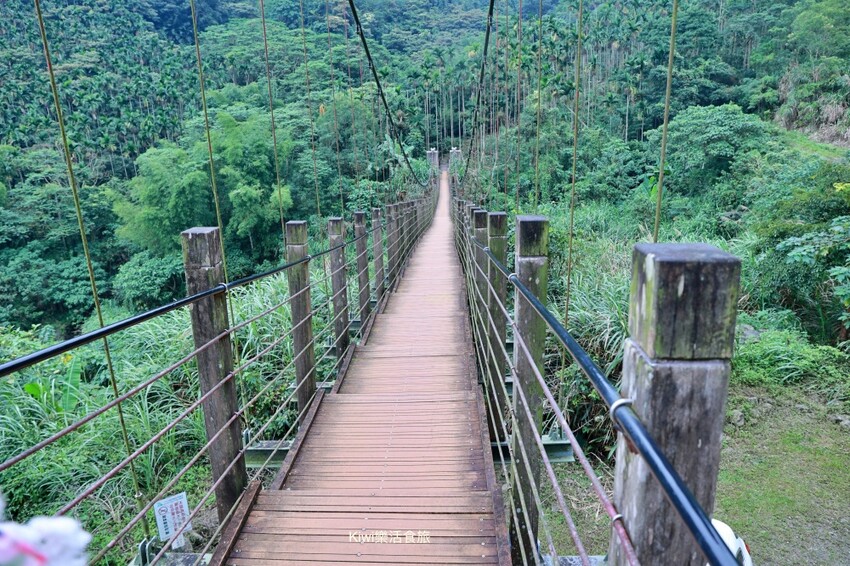 雲林古坑︱2023咖啡嘉年華帶你從雲林古坑玩到雲林斗六,喝玩樂在雲林一日遊推薦