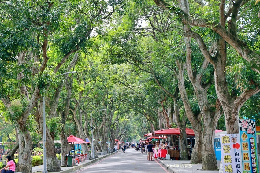 雲林古坑︱2023咖啡嘉年華帶你從雲林古坑玩到雲林斗六,喝玩樂在雲林一日遊推薦