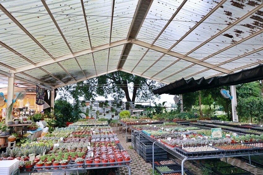 雲林古坑︱2023咖啡嘉年華帶你從雲林古坑玩到雲林斗六,喝玩樂在雲林一日遊推薦