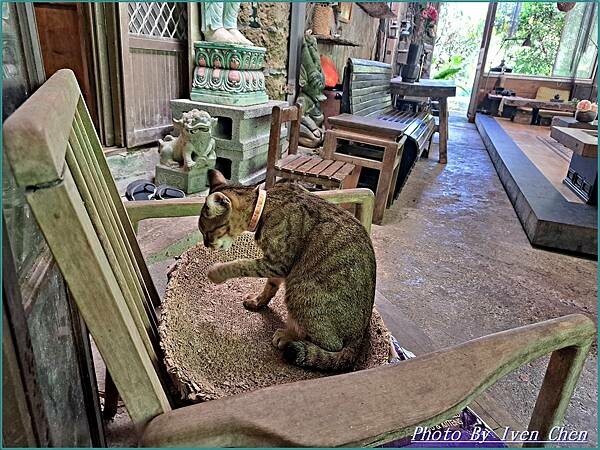 《新北大自然休閒原始景觀餐廳》隱藏在平溪的山林祕境/靜雅古典