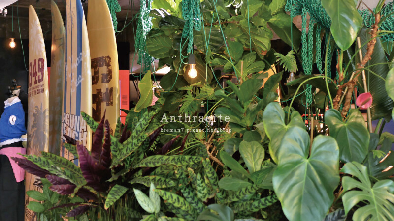 《釜山首爾自由行》Anthracite Coffee Han 首爾漢南洞anthracitecoffee-21