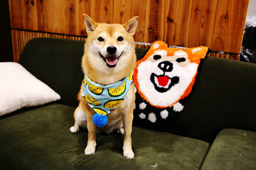 自己的地毯自己做!手作地毯Tufting初體驗!全台灣最大最 自己的地毯自己做!手作地毯Tufting初體驗!全台灣最大最