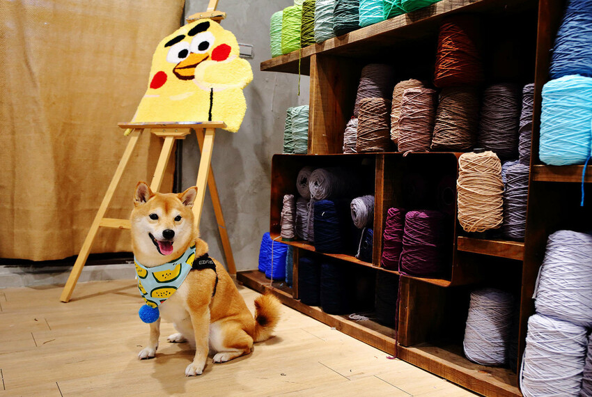 自己的地毯自己做!手作地毯Tufting初體驗!全台灣最大最 自己的地毯自己做!手作地毯Tufting初體驗!全台灣最大最