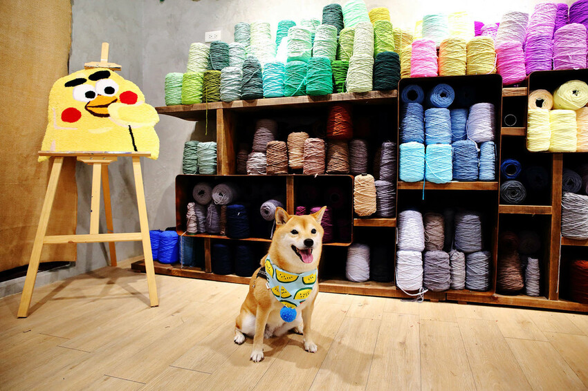 自己的地毯自己做!手作地毯Tufting初體驗!全台灣最大最 自己的地毯自己做!手作地毯Tufting初體驗!全台灣最大最