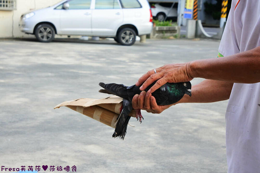 台南景點【後壁頂長Ｘ佳里延平Ｘ楠西密枝】深入農業社區體驗捉泥鰍樂趣.手炒黑糖花生塊綁鴿笭.果農之家水果餐ＤＩＹ芒果醬 - Fresa芙芮莎♥莎旅憶食