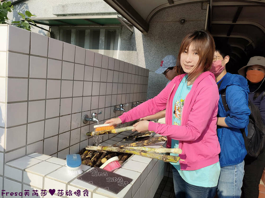 台南旅遊【東山聖賢Ｘ柳營果毅Ｘ善化溪美】農村體驗採草菇/草菇包/火龍果/甘蔗.ＤＩＹ越式春捲/黑糖粿/甘蔗榨汁│台南景點│農村社區旅遊 - Fresa芙芮莎♥莎旅憶食