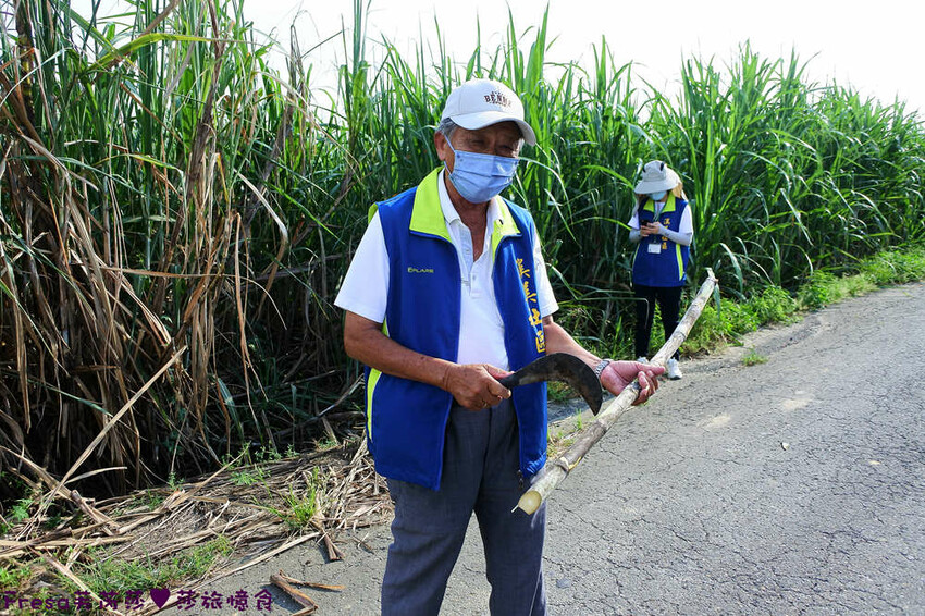 台南旅遊【東山聖賢Ｘ柳營果毅Ｘ善化溪美】農村體驗採草菇/草菇包/火龍果/甘蔗.ＤＩＹ越式春捲/黑糖粿/甘蔗榨汁│台南景點│農村社區旅遊 - Fresa芙芮莎♥莎旅憶食