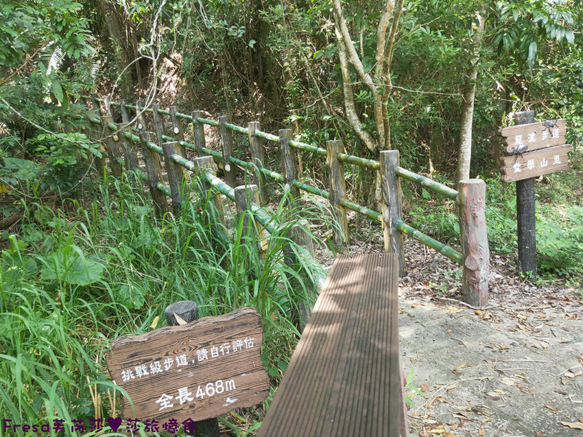 台南景點【後壁頂長Ｘ佳里延平Ｘ楠西密枝】深入農業社區體驗捉泥鰍樂趣.手炒黑糖花生塊綁鴿笭.果農之家水果餐ＤＩＹ芒果醬 - Fresa芙芮莎♥莎旅憶食