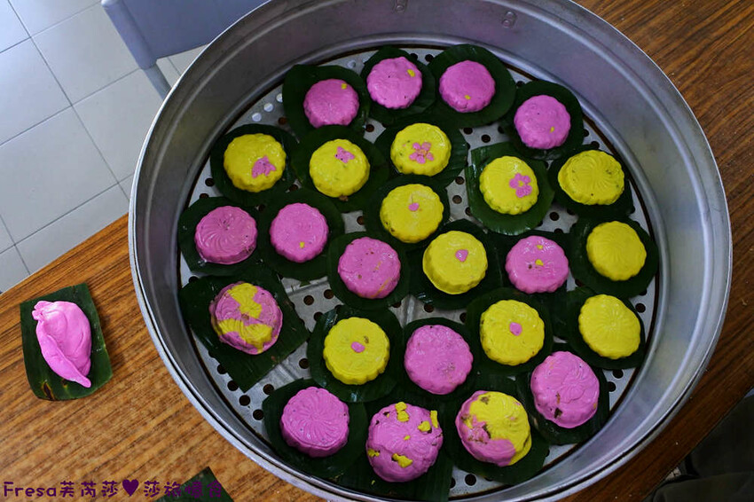 台南旅遊【東山聖賢Ｘ柳營果毅Ｘ善化溪美】農村體驗採草菇/草菇包/火龍果/甘蔗.ＤＩＹ越式春捲/黑糖粿/甘蔗榨汁│台南景點│農村社區旅遊 - Fresa芙芮莎♥莎旅憶食