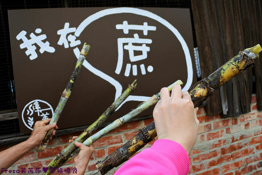 台南旅遊【東山聖賢Ｘ柳營果毅Ｘ善化溪美】農村體驗採草菇/草菇包/火龍果/甘蔗.ＤＩＹ越式春捲/黑糖粿/甘蔗榨汁│台南景點│農村社區旅遊 - Fresa芙芮莎♥莎旅憶食
