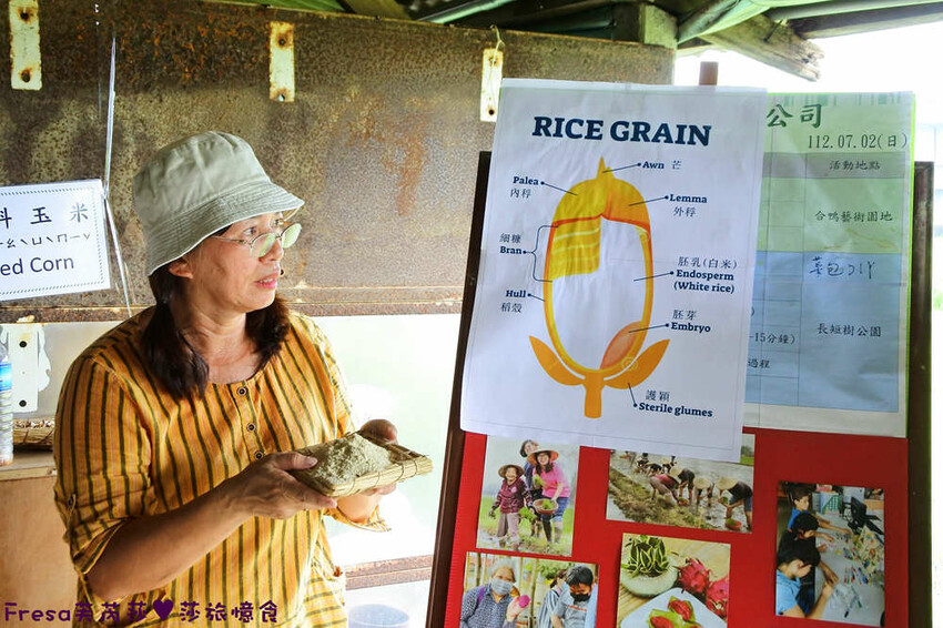 台南景點【後壁頂長Ｘ佳里延平Ｘ楠西密枝】深入農業社區體驗捉泥鰍樂趣.手炒黑糖花生塊綁鴿笭.果農之家水果餐ＤＩＹ芒果醬 - Fresa芙芮莎♥莎旅憶食