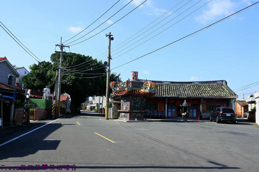 台南旅遊【東山聖賢Ｘ柳營果毅Ｘ善化溪美】農村體驗採草菇/草菇包/火龍果/甘蔗.ＤＩＹ越式春捲/黑糖粿/甘蔗榨汁│台南景點│農村社區旅遊 - Fresa芙芮莎♥莎旅憶食