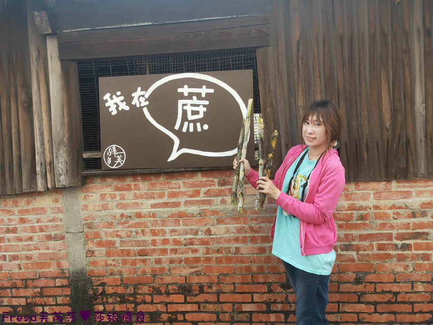 台南旅遊【東山聖賢Ｘ柳營果毅Ｘ善化溪美】農村體驗採草菇/草菇包/火龍果/甘蔗.ＤＩＹ越式春捲/黑糖粿/甘蔗榨汁│台南景點│農村社區旅遊 - Fresa芙芮莎♥莎旅憶食
