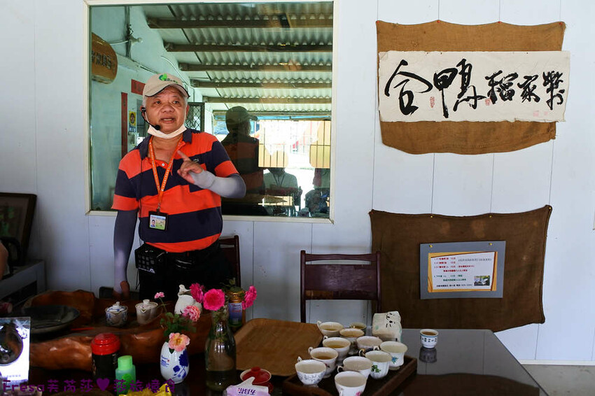 台南景點【後壁頂長Ｘ佳里延平Ｘ楠西密枝】深入農業社區體驗捉泥鰍樂趣.手炒黑糖花生塊綁鴿笭.果農之家水果餐ＤＩＹ芒果醬 - Fresa芙芮莎♥莎旅憶食