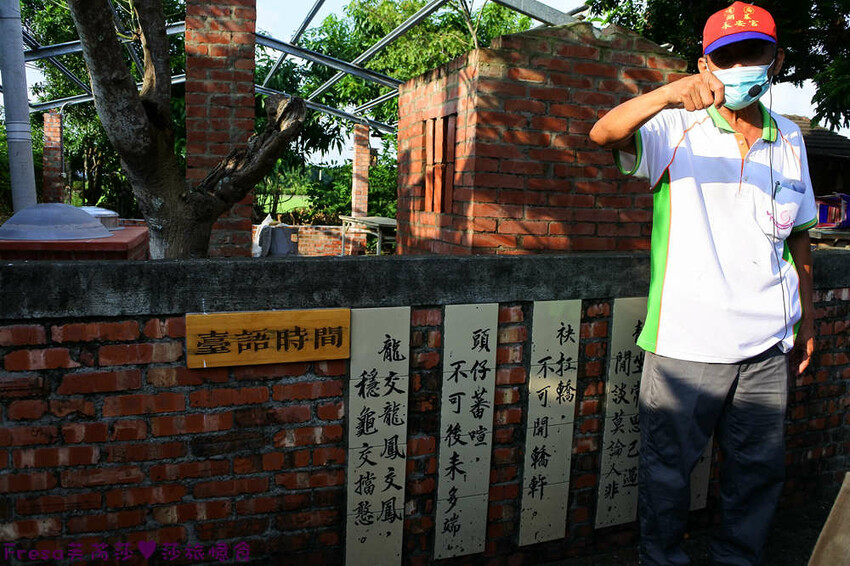 台南景點【後壁頂長Ｘ佳里延平Ｘ楠西密枝】深入農業社區體驗捉泥鰍樂趣.手炒黑糖花生塊綁鴿笭.果農之家水果餐ＤＩＹ芒果醬 - Fresa芙芮莎♥莎旅憶食