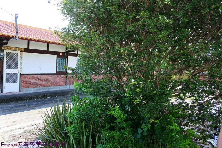 台南旅遊【東山聖賢Ｘ柳營果毅Ｘ善化溪美】農村體驗採草菇/草菇包/火龍果/甘蔗.ＤＩＹ越式春捲/黑糖粿/甘蔗榨汁│台南景點│農村社區旅遊 - Fresa芙芮莎♥莎旅憶食