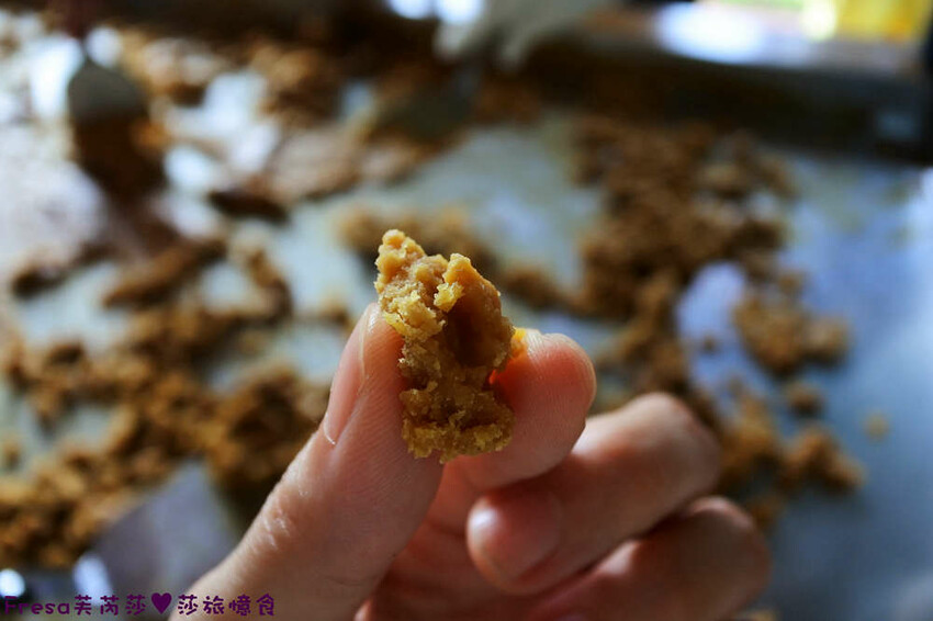 台南景點【後壁頂長Ｘ佳里延平Ｘ楠西密枝】深入農業社區體驗捉泥鰍樂趣.手炒黑糖花生塊綁鴿笭.果農之家水果餐ＤＩＹ芒果醬 - Fresa芙芮莎♥莎旅憶食