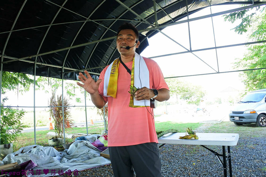 台南旅遊【東山聖賢Ｘ柳營果毅Ｘ善化溪美】農村體驗採草菇/草菇包/火龍果/甘蔗.ＤＩＹ越式春捲/黑糖粿/甘蔗榨汁│台南景點│農村社區旅遊 - Fresa芙芮莎♥莎旅憶食