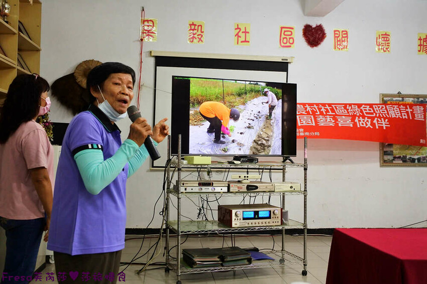 台南旅遊【東山聖賢Ｘ柳營果毅Ｘ善化溪美】農村體驗採草菇/草菇包/火龍果/甘蔗.ＤＩＹ越式春捲/黑糖粿/甘蔗榨汁│台南景點│農村社區旅遊 - Fresa芙芮莎♥莎旅憶食