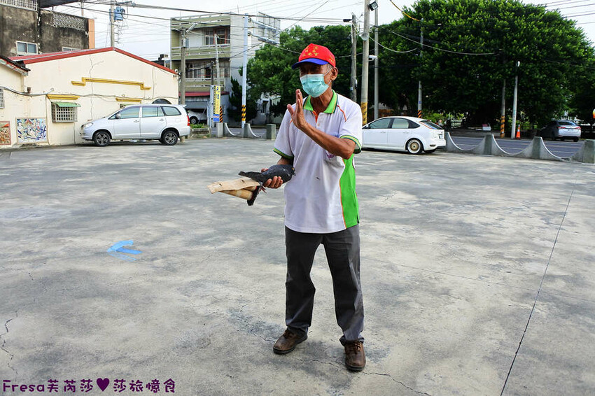 台南景點【後壁頂長Ｘ佳里延平Ｘ楠西密枝】深入農業社區體驗捉泥鰍樂趣.手炒黑糖花生塊綁鴿笭.果農之家水果餐ＤＩＹ芒果醬 - Fresa芙芮莎♥莎旅憶食