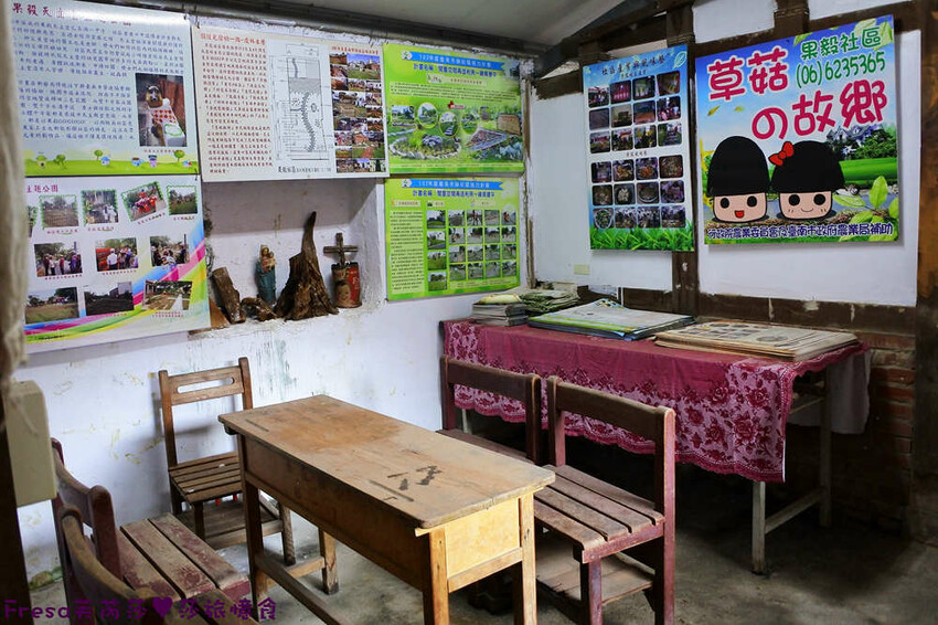 台南旅遊【東山聖賢Ｘ柳營果毅Ｘ善化溪美】農村體驗採草菇/草菇包/火龍果/甘蔗.ＤＩＹ越式春捲/黑糖粿/甘蔗榨汁│台南景點│農村社區旅遊 - Fresa芙芮莎♥莎旅憶食