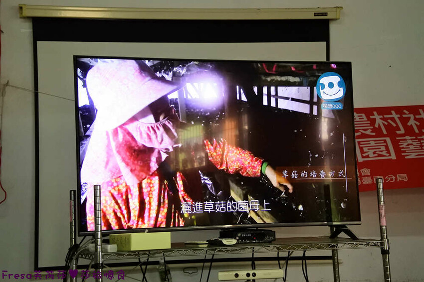 台南旅遊【東山聖賢Ｘ柳營果毅Ｘ善化溪美】農村體驗採草菇/草菇包/火龍果/甘蔗.ＤＩＹ越式春捲/黑糖粿/甘蔗榨汁│台南景點│農村社區旅遊 - Fresa芙芮莎♥莎旅憶食