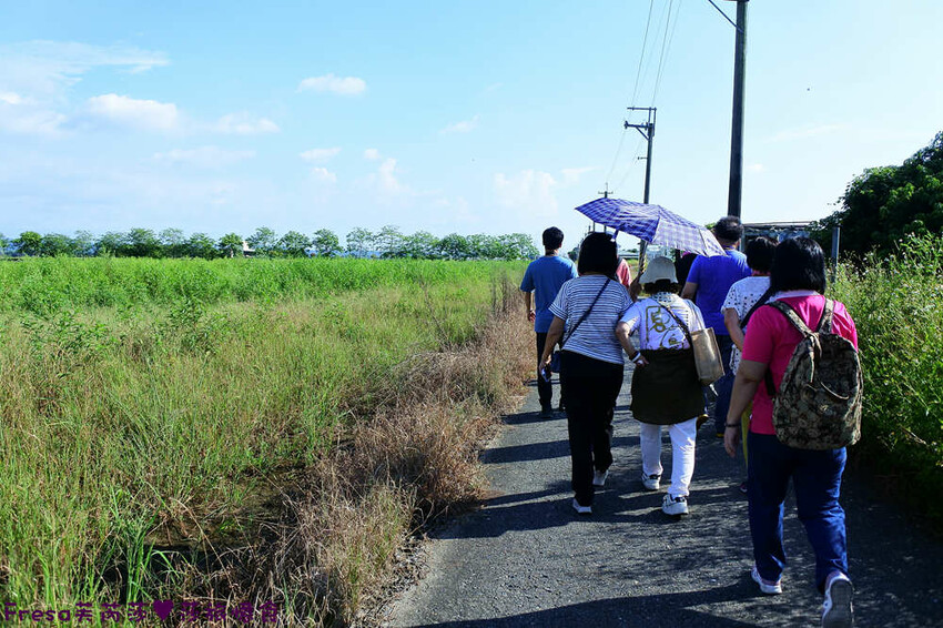 台南旅遊【東山聖賢Ｘ柳營果毅Ｘ善化溪美】農村體驗採草菇/草菇包/火龍果/甘蔗.ＤＩＹ越式春捲/黑糖粿/甘蔗榨汁│台南景點│農村社區旅遊 - Fresa芙芮莎♥莎旅憶食