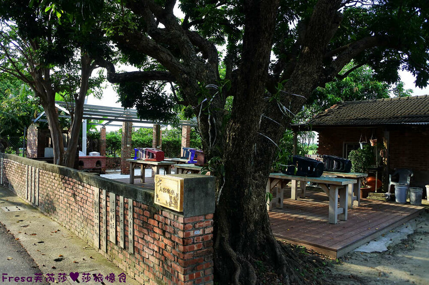 台南景點【後壁頂長Ｘ佳里延平Ｘ楠西密枝】深入農業社區體驗捉泥鰍樂趣.手炒黑糖花生塊綁鴿笭.果農之家水果餐ＤＩＹ芒果醬 - Fresa芙芮莎♥莎旅憶食