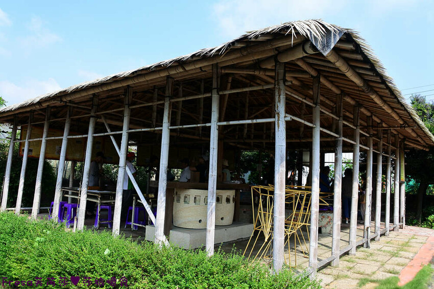 台南景點【後壁頂長Ｘ佳里延平Ｘ楠西密枝】深入農業社區體驗捉泥鰍樂趣.手炒黑糖花生塊綁鴿笭.果農之家水果餐ＤＩＹ芒果醬 - Fresa芙芮莎♥莎旅憶食