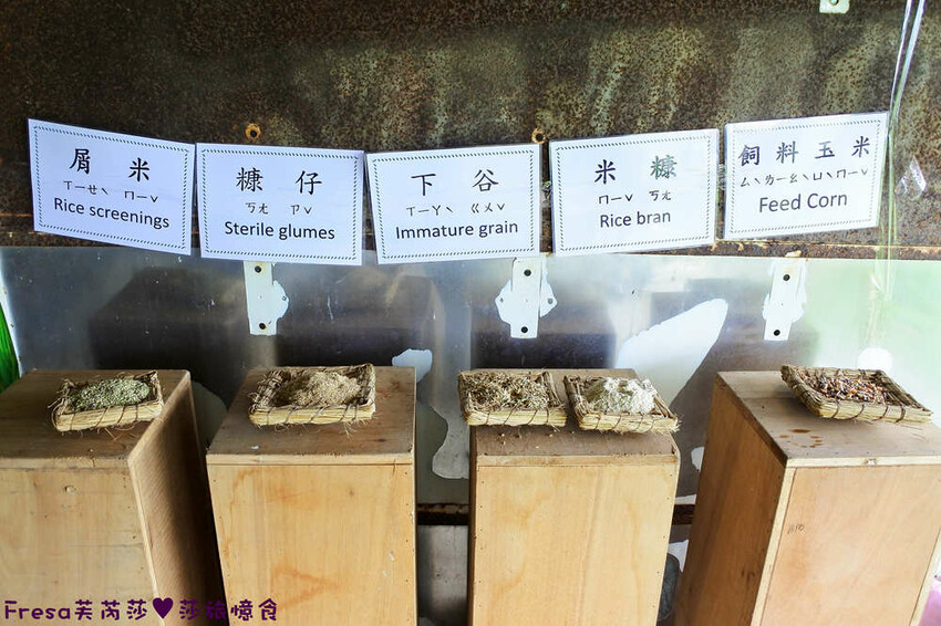 台南景點【後壁頂長Ｘ佳里延平Ｘ楠西密枝】深入農業社區體驗捉泥鰍樂趣.手炒黑糖花生塊綁鴿笭.果農之家水果餐ＤＩＹ芒果醬 - Fresa芙芮莎♥莎旅憶食