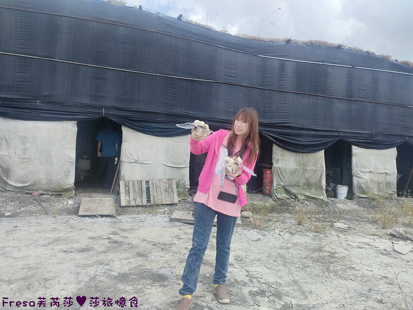 台南旅遊【東山聖賢Ｘ柳營果毅Ｘ善化溪美】農村體驗採草菇/草菇包/火龍果/甘蔗.ＤＩＹ越式春捲/黑糖粿/甘蔗榨汁│台南景點│農村社區旅遊 - Fresa芙芮莎♥莎旅憶食