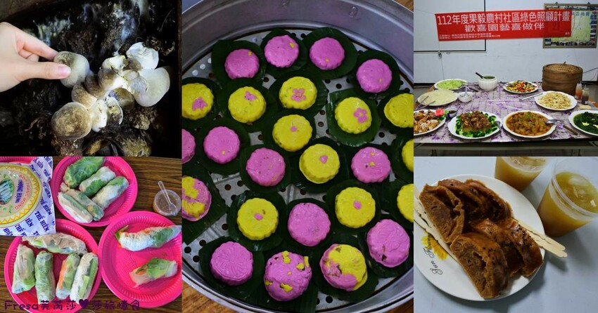 台南旅遊【東山聖賢Ｘ柳營果毅Ｘ善化溪美】農村體驗採草菇/草菇包/火龍果/甘蔗.ＤＩＹ越式春捲/黑糖粿/甘蔗榨汁│台南景點│農村社區旅遊 - Fresa芙芮莎♥莎旅憶食