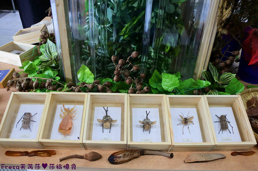 台南景點【後壁頂長Ｘ佳里延平Ｘ楠西密枝】深入農業社區體驗捉泥鰍樂趣.手炒黑糖花生塊綁鴿笭.果農之家水果餐ＤＩＹ芒果醬 - Fresa芙芮莎♥莎旅憶食