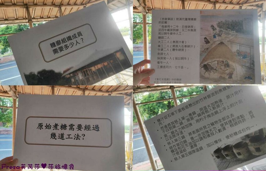 台南景點【後壁頂長Ｘ佳里延平Ｘ楠西密枝】深入農業社區體驗捉泥鰍樂趣.手炒黑糖花生塊綁鴿笭.果農之家水果餐ＤＩＹ芒果醬 - Fresa芙芮莎♥莎旅憶食