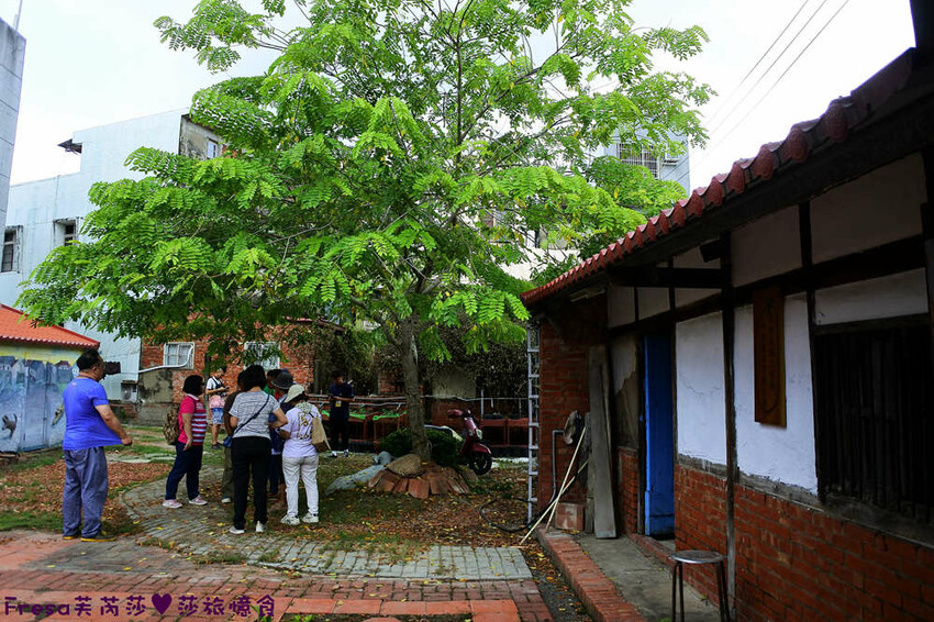 台南旅遊【東山聖賢Ｘ柳營果毅Ｘ善化溪美】農村體驗採草菇/草菇包/火龍果/甘蔗.ＤＩＹ越式春捲/黑糖粿/甘蔗榨汁│台南景點│農村社區旅遊 - Fresa芙芮莎♥莎旅憶食