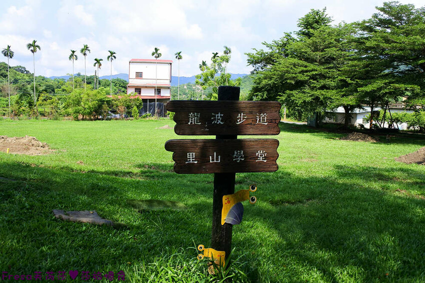 台南景點【後壁頂長Ｘ佳里延平Ｘ楠西密枝】深入農業社區體驗捉泥鰍樂趣.手炒黑糖花生塊綁鴿笭.果農之家水果餐ＤＩＹ芒果醬 - Fresa芙芮莎♥莎旅憶食