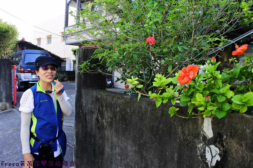 台南旅遊【東山聖賢Ｘ柳營果毅Ｘ善化溪美】農村體驗採草菇/草菇包/火龍果/甘蔗.ＤＩＹ越式春捲/黑糖粿/甘蔗榨汁│台南景點│農村社區旅遊 - Fresa芙芮莎♥莎旅憶食