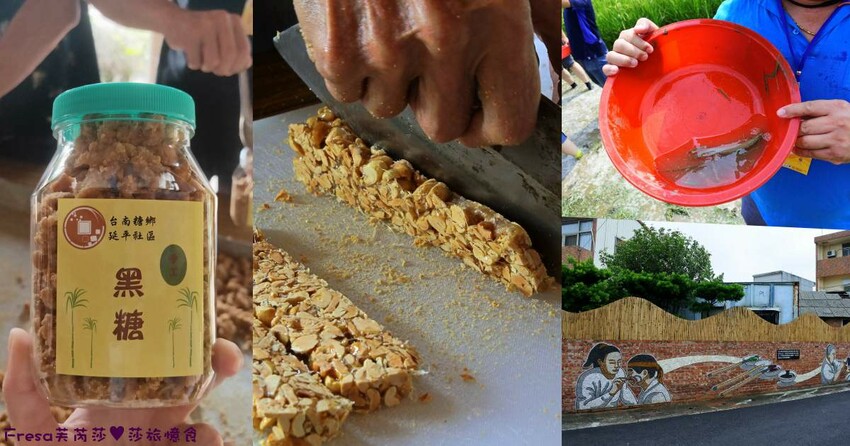 台南景點【後壁頂長Ｘ佳里延平Ｘ楠西密枝】深入農業社區體驗捉泥鰍樂趣.手炒黑糖花生塊綁鴿笭.果農之家水果餐ＤＩＹ芒果醬 - Fresa芙芮莎♥莎旅憶食
