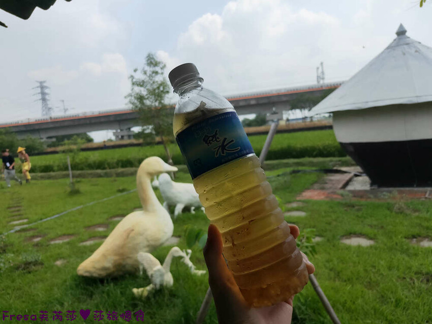 台南景點【後壁頂長Ｘ佳里延平Ｘ楠西密枝】深入農業社區體驗捉泥鰍樂趣.手炒黑糖花生塊綁鴿笭.果農之家水果餐ＤＩＹ芒果醬 - Fresa芙芮莎♥莎旅憶食