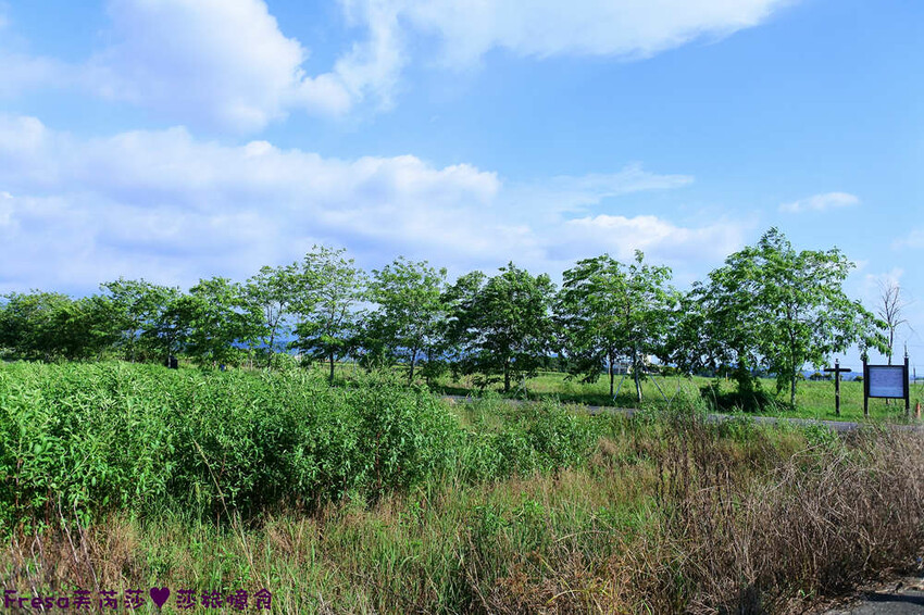 台南旅遊【東山聖賢Ｘ柳營果毅Ｘ善化溪美】農村體驗採草菇/草菇包/火龍果/甘蔗.ＤＩＹ越式春捲/黑糖粿/甘蔗榨汁│台南景點│農村社區旅遊 - Fresa芙芮莎♥莎旅憶食
